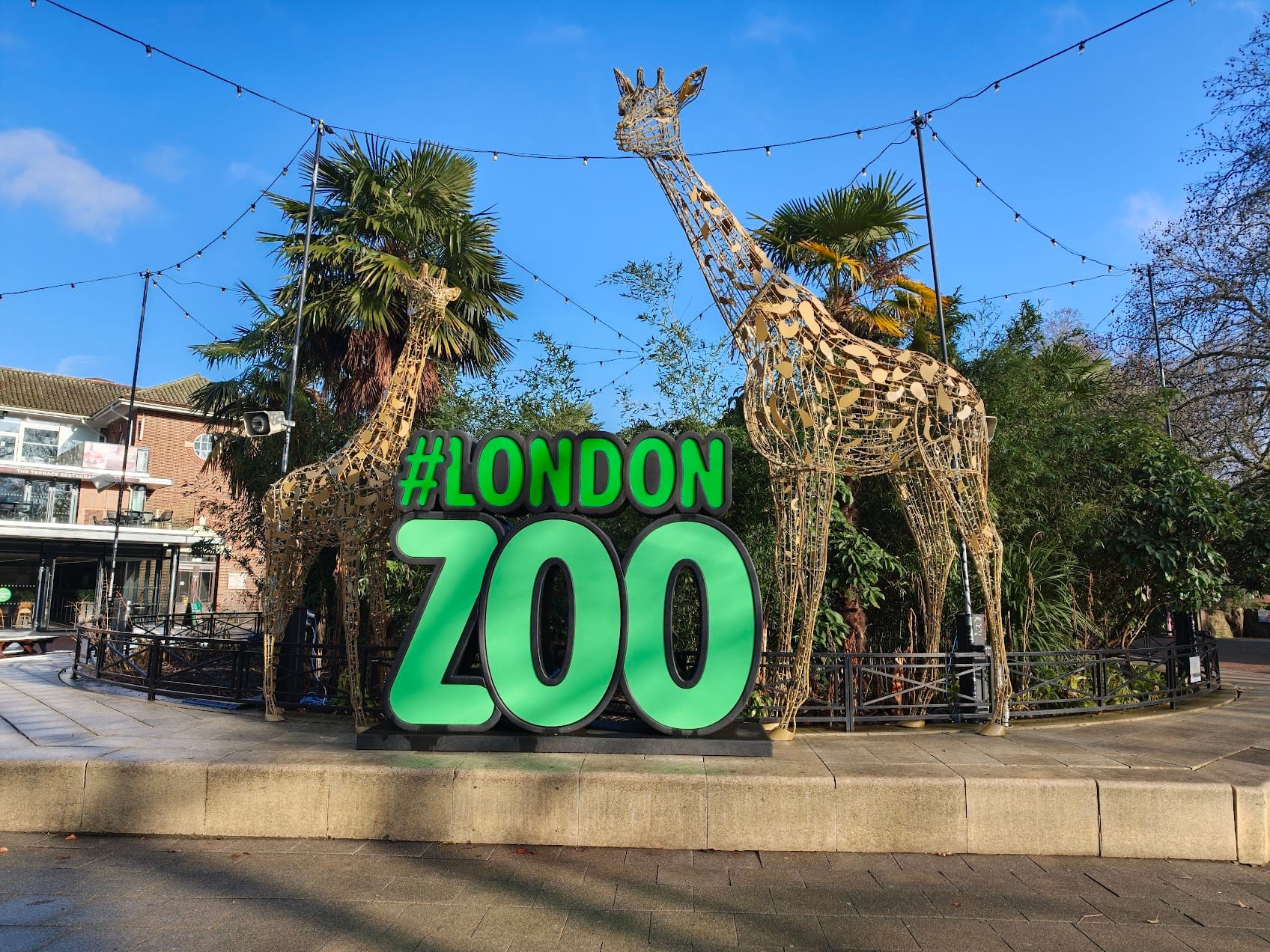 Social Media Backdrop London Zoo